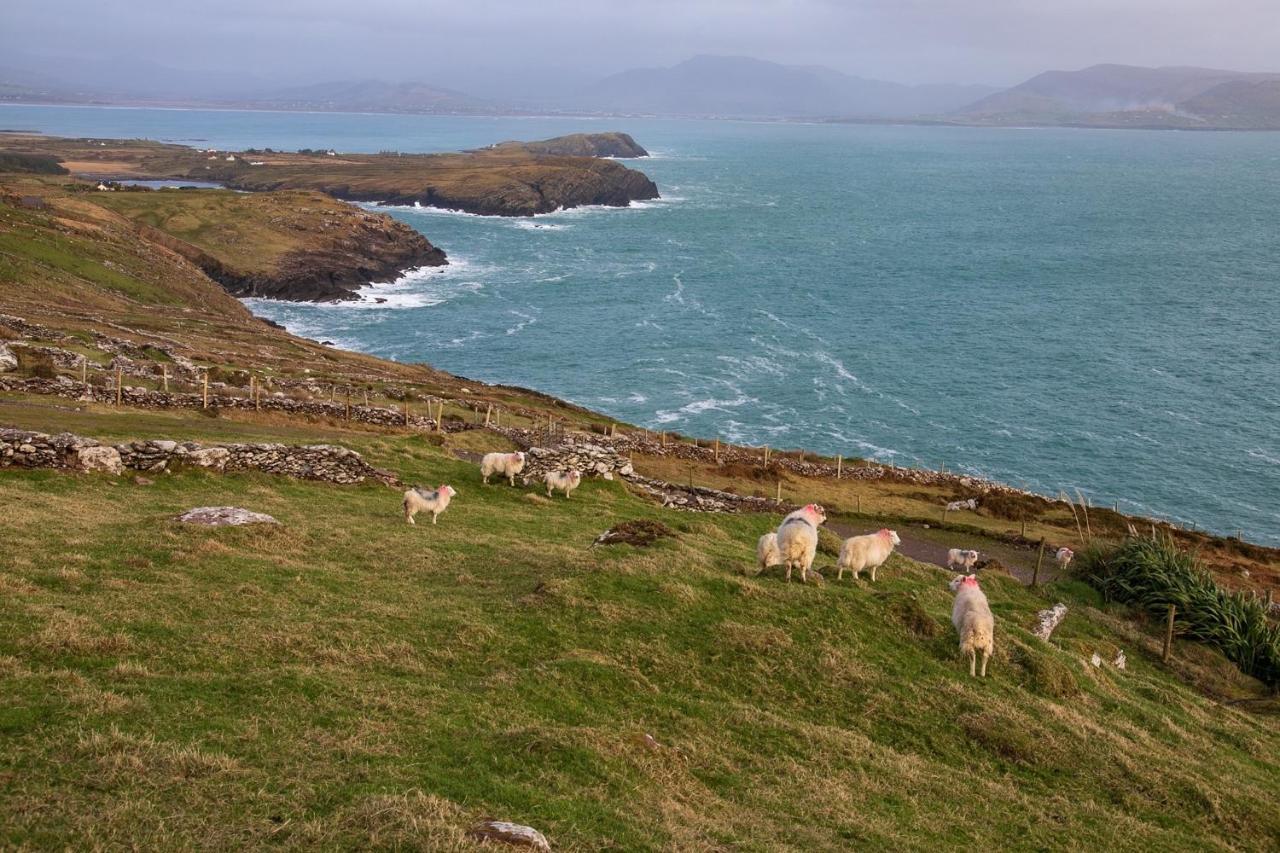 Skellig Port Accommodation - 1 Studio Bed Apartment Portmagee Exterior photo